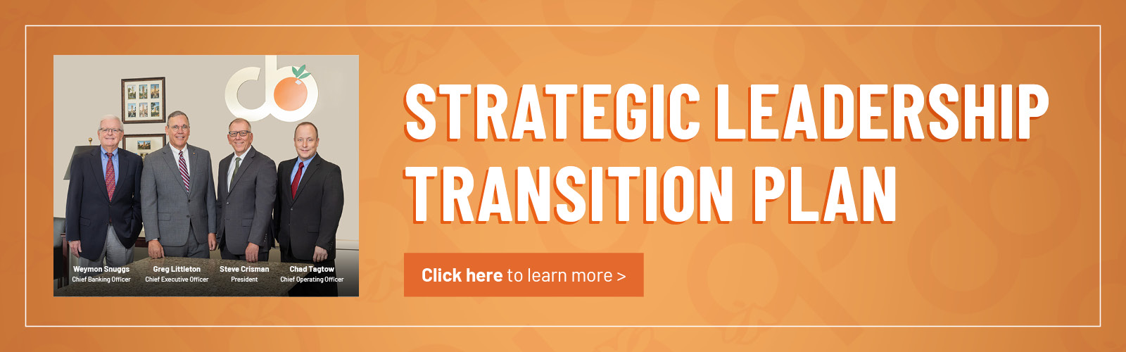 Strategic Leadership Transition Plan